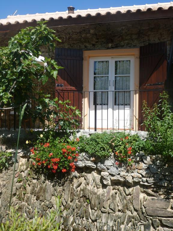 Casa Do Moinho Guest House Ovar Bagian luar foto
