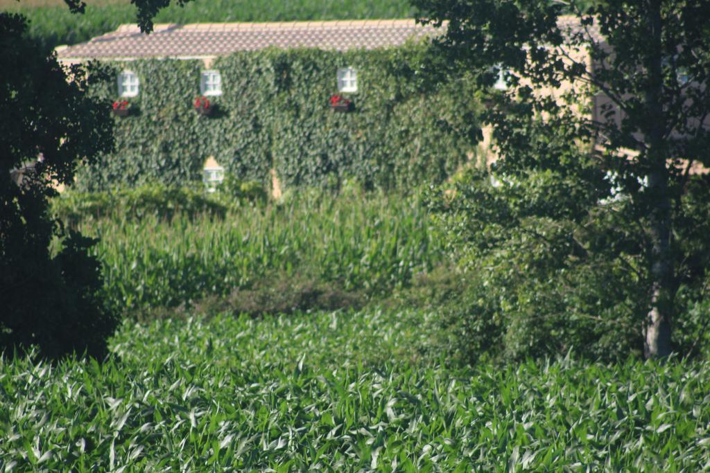 Casa Do Moinho Guest House Ovar Bagian luar foto